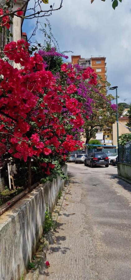 B&B Ciruzzo Νάπολη Εξωτερικό φωτογραφία